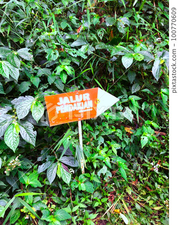 Mountain wooden signboard 100770609