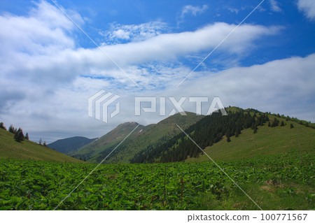 View from Stoh pass to Steny northern and southern peak, Mala Fatra, Slovakia, spring cloudy day 100771567