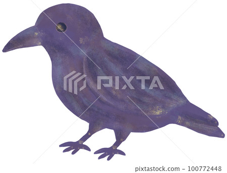 Crow 100772448