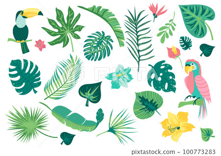 Hello summer set graphic elements in flat design. Bundle of toucan, parrot, tropical leaves and exotic flowers, wildlife green plants and jungle fresh foliage. Vector illustration isolated objects Hello summer set graphic elements in flat design. Bundle of toucan, parrot, tropical leaves and exotic flowers, wildlife green plants and jungle fresh foliage. Vector illustration isolated objects 100773283