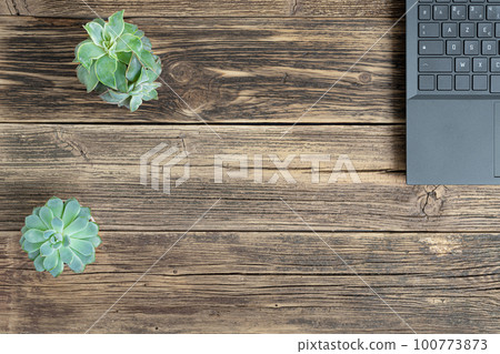 A laptop and two succulent home plants on a wooden table, the concept of work from home, remote work, freelance and online education, top view with copy space A laptop and two succulent home plants on a wooden table, the concept of work from home, remote work, freelance and online education, top view with copy space 100773873