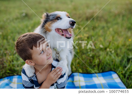 Little boy with collie outdoor, having picnic. 100774655
