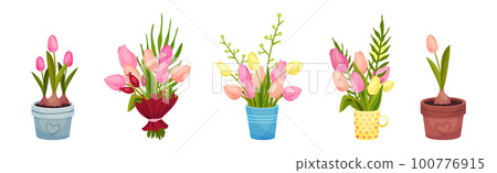 Bouquet of Tulip Flowers in Pot and Wrap Vector Set Bouquet of Tulip Flowers in Pot and Wrap Vector Set 100776915