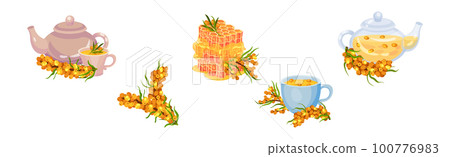 Sea Buckthorn Berry with Honey and Brewed Aromatic Tea Vector Set Sea Buckthorn Berry with Honey and Brewed Aromatic Tea Vector Set 100776983