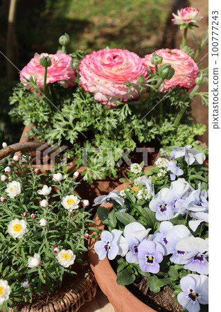 flower arrangement & flower arrangement flower arrangement & flower arrangement 100777243