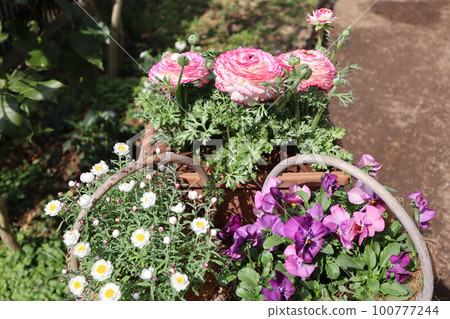 flower arrangement & flower arrangement flower arrangement & flower arrangement 100777244