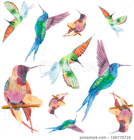 Hummingbird watercolor seamless pattern on white background. It can be used in printing on textiles, paper, packaging 100778726