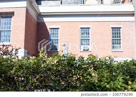 在紐約市中心一座大教堂看到的一隻孔雀 在紐約市中心一座大教堂看到的一隻孔雀 100779290