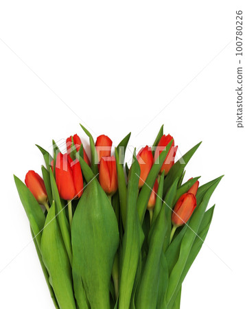 Big bouquet of fresh red tulips, isolated on white background 100780226