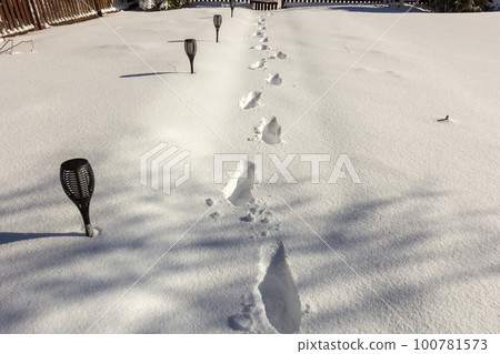 After a snowfall. Footprints in the snow on the yard path. After a snowfall. Footprints in the snow on the yard path. 100781573