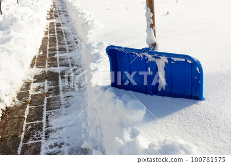 A freshly cleared path in the yard of the house. A freshly cleared path in the yard of the house. 100781575