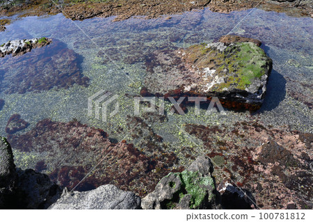 Scenery of Jogashima coast [Miura City, Kanagawa Prefecture] 100781812