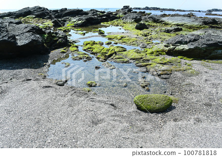Scenery of Jogashima coast [Miura City, Kanagawa Prefecture] 100781818
