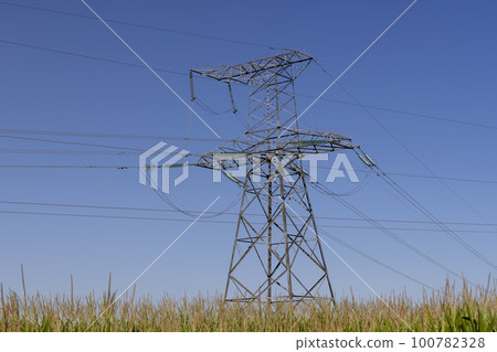 Metal poles for providing electricity to various buildings 100782328