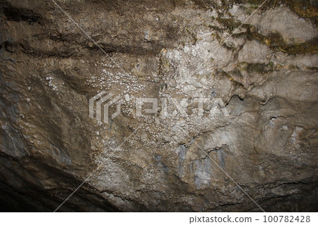 Inside of a dark limestone cave / rocky ceiling covered with countless small protrusions Inside of a dark limestone cave / rocky ceiling covered with countless small protrusions 100782428