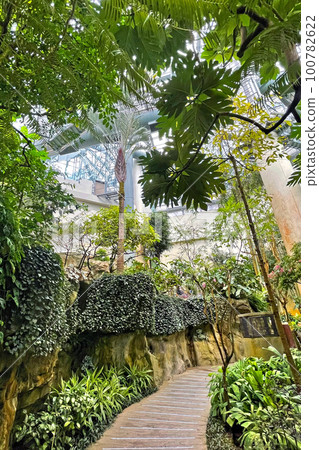 Vertical green plants and waterfall in indoor waterfall 100782622