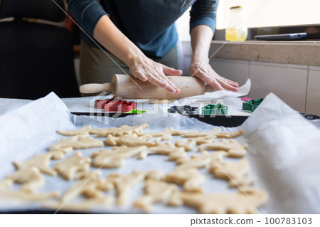 A woman making cookies in the shape of dinosaurs 100783103