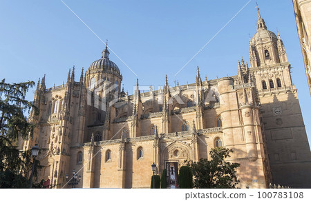 Panoramic photo of Salamanca catedral in Spain Panoramic photo of Salamanca catedral in Spain 100783108