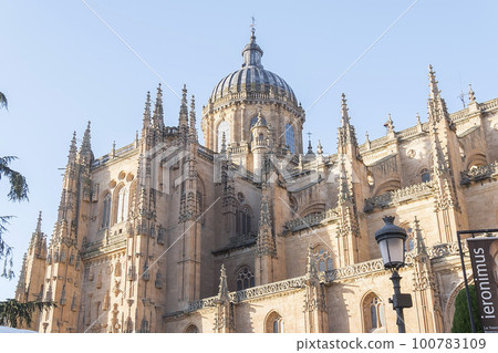 Photo detail of part of the Salamanca catedral in Spain Photo detail of part of the Salamanca catedral in Spain 100783109
