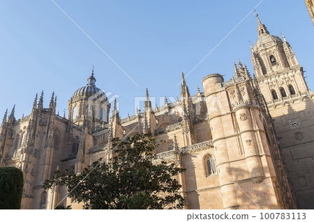 Photo detail of part of the Salamanca catedral in Spain Photo detail of part of the Salamanca catedral in Spain 100783113
