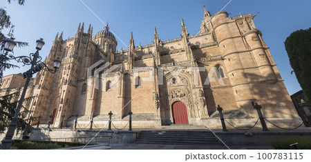 Panoramic photo of Salamanca catedral in Spain 100783115