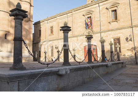 Photo detail of part of the Salamanca catedral in Spain Photo detail of part of the Salamanca catedral in Spain 100783117