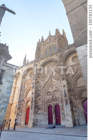 Photo detail of part of the Salamanca catedral in Spain 100783135