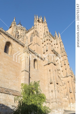 Photo detail of part of the Salamanca catedral in Spain Photo detail of part of the Salamanca catedral in Spain 100783147