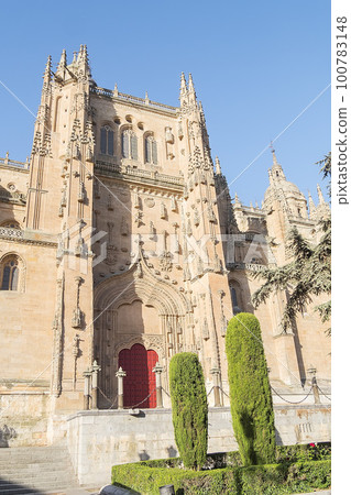Photo detail of part of the Salamanca catedral in Spain Photo detail of part of the Salamanca catedral in Spain 100783148