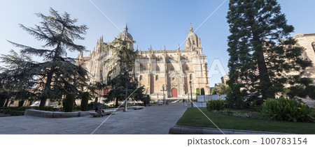 Photo detail of part of the Salamanca catedral in Spain Photo detail of part of the Salamanca catedral in Spain 100783154