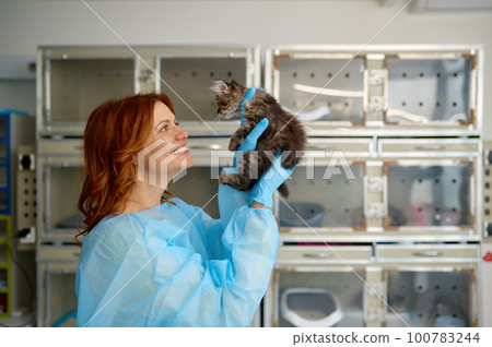 Young woman veterinarian playing with kitten after grooming procedures 100783244