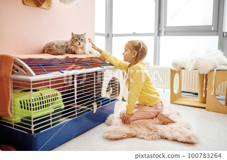 Happy smiling little girl child playing with cat indoors 100783264