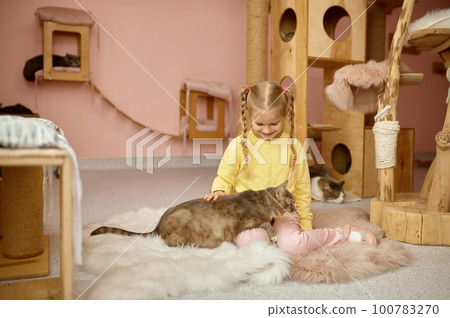 Cute smiling girl playing with cat in shelter for domestic animal 100783270