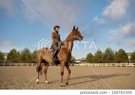 A horse trainer with her stallion outdoors in farm 100783309