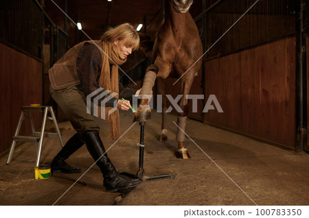 Woman rider applying protective varnish to horse hooves to avoid damage Woman rider applying protective varnish to horse hooves to avoid damage 100783350