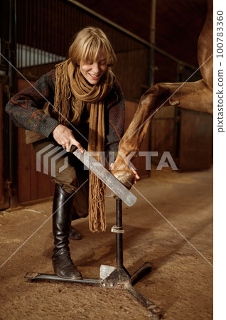 Female horse owner trimming and shaping young stallion hoof 100783360