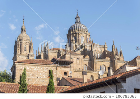 Photo detail of part of the Salamanca catedral in Spain Photo detail of part of the Salamanca catedral in Spain 100783363