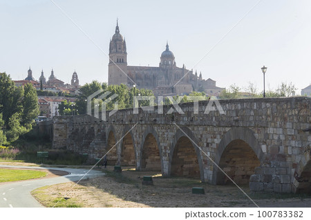 Roman bridge over the Tormes river and in the background the cathedral of Salamanca (Spain) 100783382
