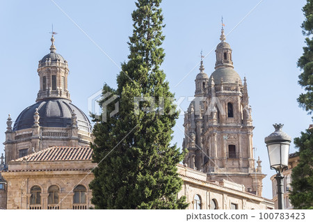 Photo detail of part of the Salamanca catedral in Spain Photo detail of part of the Salamanca catedral in Spain 100783423