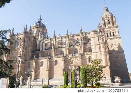 Photo detail of part of the Salamanca catedral in Spain Photo detail of part of the Salamanca catedral in Spain 100783424