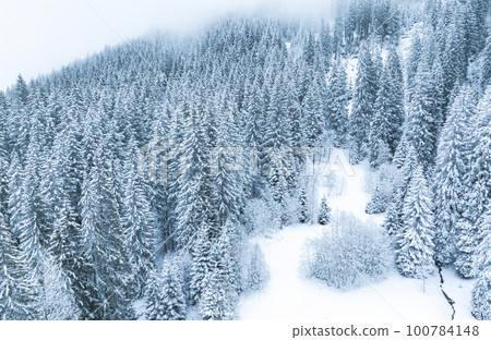 Aerial image from the top of snowy mountain pines in the middle of the winter Aerial image from the top of snowy mountain pines in the middle of the winter 100784148