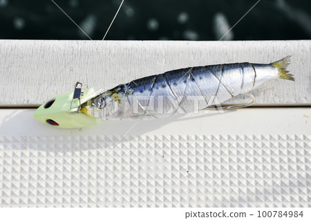 用作魚餌的秋刀魚 用作魚餌的秋刀魚 100784984