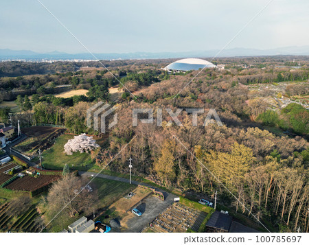 美津子櫻航拍 100785697