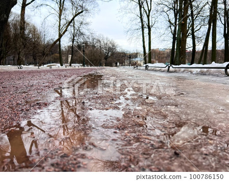 dirty melting snow and slush on park lane on early Spring. naked trees reflecting in puddle dirty melting snow and slush on park lane on early Spring. naked trees reflecting in puddle 100786150