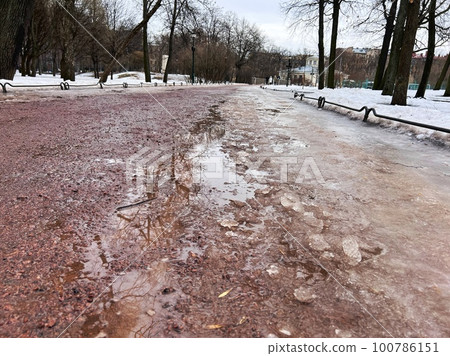 dirty melting snow and slush on park lane on early Spring. naked trees reflecting in puddle 100786151