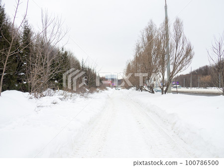 Winter day. Trees under the snow. Nature in the city. Urban environment. After a snowfall. Winter day. Trees under the snow. Nature in the city. Urban environment. After a snowfall. 100786500