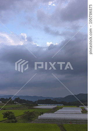 220726 上野平 z002 100786875