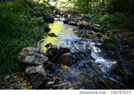 A creek behind the waterfall where clear water flows through the forest A creek behind the waterfall where clear water flows through the forest 100787837