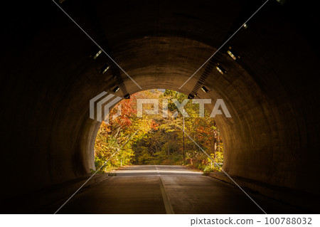 Autumn leaves at the end of the tunnel (Aomori Prefecture) Autumn leaves at the end of the tunnel (Aomori Prefecture) 100788032