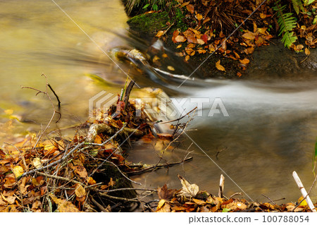 Oirase mountain stream and autumn leaves in late autumn (Aomori Prefecture) 100788054